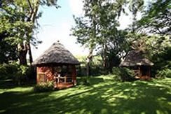 Mount Meru Game Lodge 아루샤 외부 사진