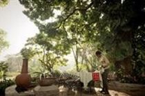 Mount Meru Game Lodge 아루샤 외부 사진